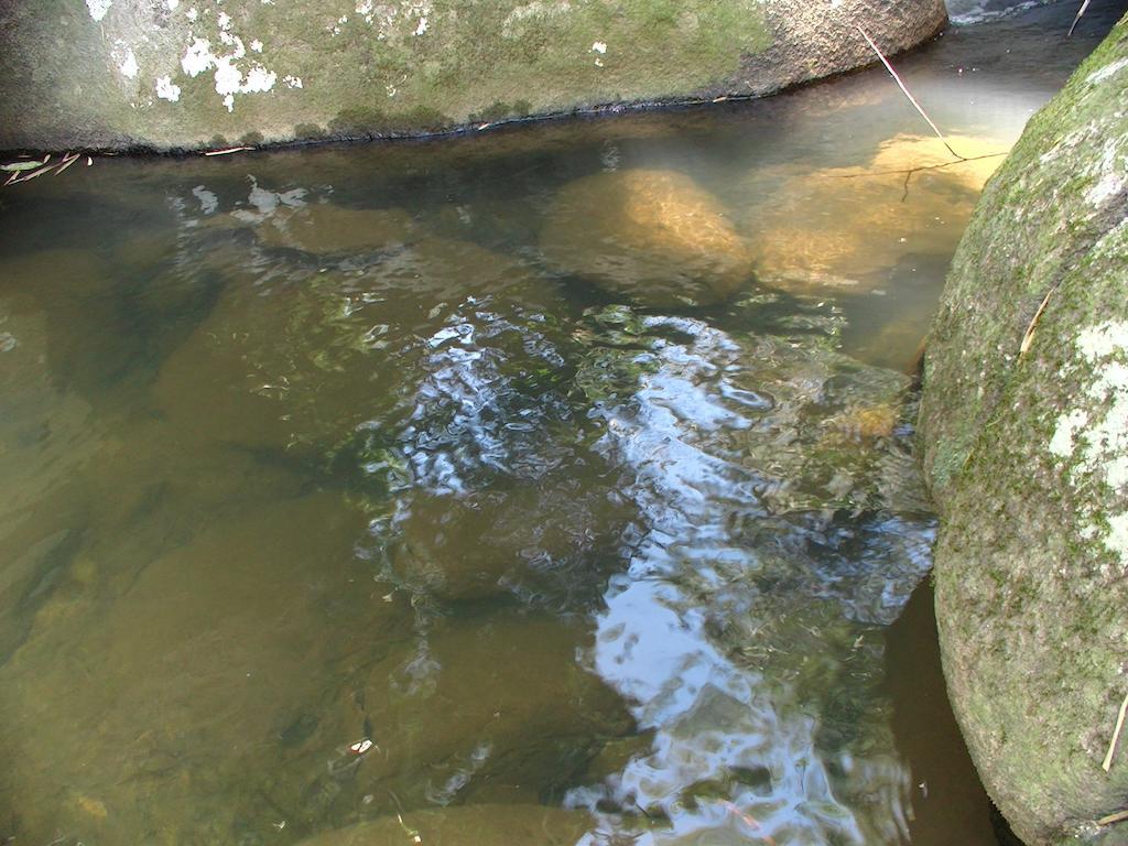 Ytororo O Som Das Aguas Araquari Exterior photo